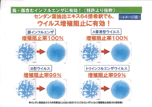 ウィルス資料